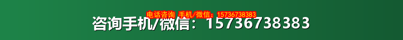 咨询手机/微信：15736738383